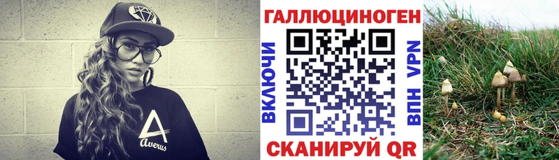 Псилоцибиновые грибы Magic Shrooms Димитровград