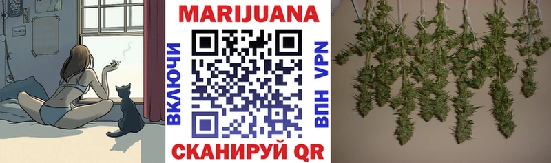 Бошки марихуана сатива Димитровград